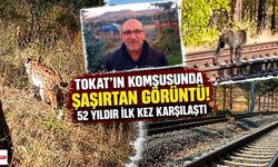 Tokat’ın Komşusunda Şaşırtan Görüntü! 52 Yıldır İlk Kez Karşılaştı