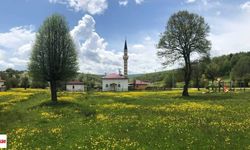 Tokat’ta Bir Köyün Adı Değişti! Bakanlık Onayıyla Yeni İsmi Belli Oldu