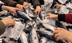 Tokat’ta Görülmemiş Palamut Kuyruğu! 110 TL İndirimi Duyan Markete Koştu