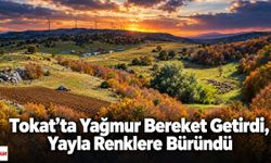 Tokat’ta Yağmur Bereket Getirdi, Yayla Renklere Büründü