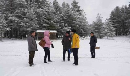 Doğal güzellikleri ile mest eden yaylalar kar festivaline ev sahipliği yapacak