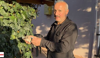Tokat’ta evin çatısına yıldırım düştü, kuşlar telef oldu