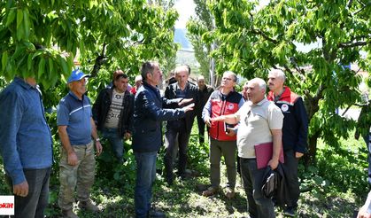 Tokat Akyamaç köyünde zirai don mesaisi