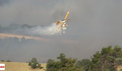 Orman Yangınlarında Son Durum: 110 Noktada Tehlike Sona Erdi