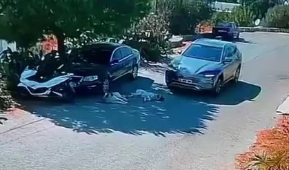 Otomobiliyle köpeklerin üzerinden geçti