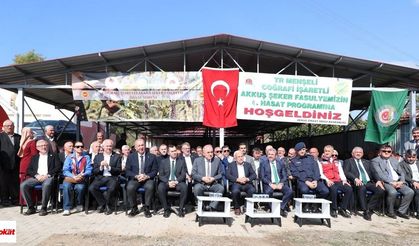 Akkuş’un Altın Taneleri