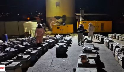 Polisin durdurduğu tırdan çıktı: 91 kilo uyuşturucuyu arı peteklerine gizlediler
