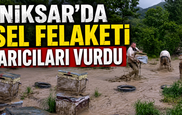 Niksar’da Sel Felaketi Arıcıları Vurdu