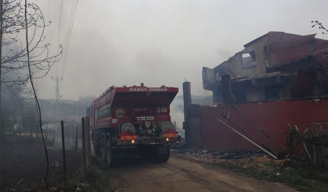 GÜNCELLEME - Kastamonu'da 2 ev, sera ve ahırlar yandı, 4 büyükbaş hayvan öldü