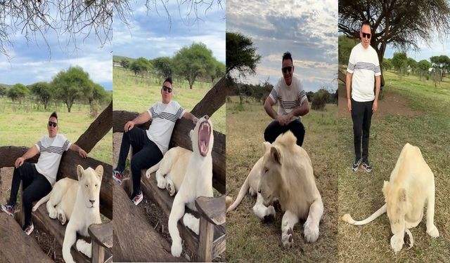 Tokatlı turizmci Afrika'da aslanlarla poz verdi!