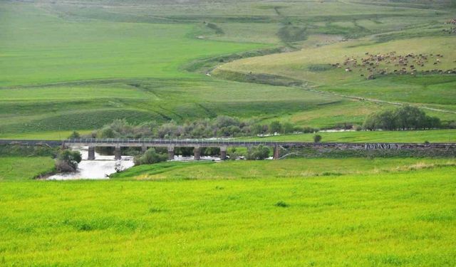 Erzurum mera ve çayır zengini