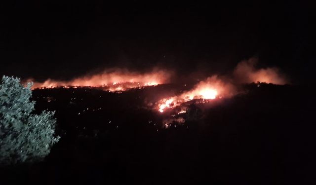 Mardin’de gece saatlerinde korkutan yangın kontrol altına alındı