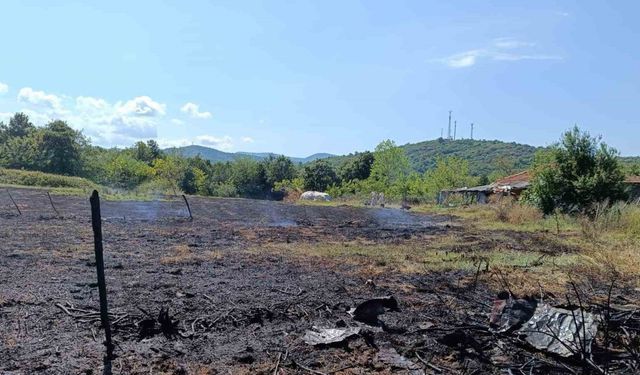 Yalova’da iki noktada çıkan orman yangınları ile ilgili savcılık soruşturma başlattı