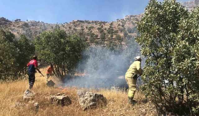 Mardin’de ormanlık alanda çıkan yangın söndürüldü