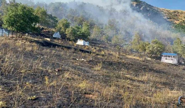 Tunceli’de mezarlıkta başlayan yangın ormana sıçradı