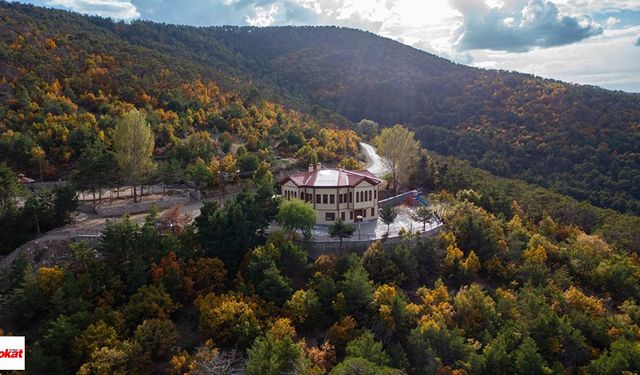 Cennetten Bir Köşe: Tokat’ın Yanı Başındaki Kadıpınarı Tabiat Parkı