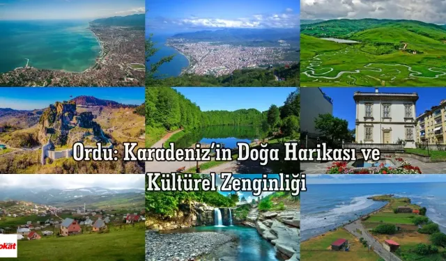 Ordu'da Gezilecek Yerler: Doğa ve Tarihle Dolu Bir Macera