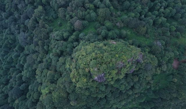 Artvin'de üç arkeolojik kazı alanında jeoradar çalışması yapıldı