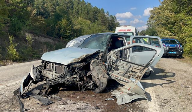 Bolu'da kamyonla çarpışan otomobildeki 2 kişi yaralandı