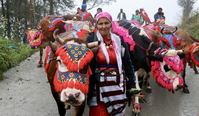 Doğu Karadeniz yaylalarında besicilerin dönüş yolculuğu başladı