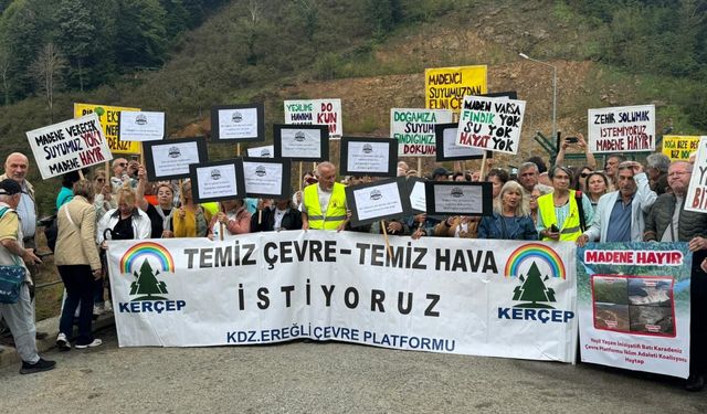 Düzce'de bazı STK'lerden Kaplandede Dağı'nda maden arama izni verildiği gerekçesiyle eylem