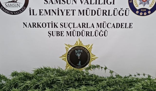 Samsun'da uyuşturucu operasyonu