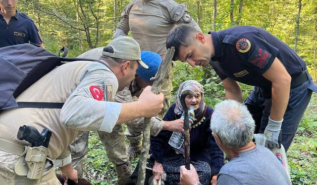 Sinop'ta mantar toplarken kaybolan kadın ormanda bulundu