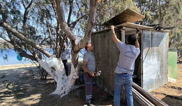 Adadaki kaçak kulübe söküldü