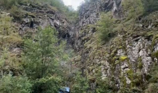 Artvin’de otomobil uçurumdan yuvarlandı: 1 ölü