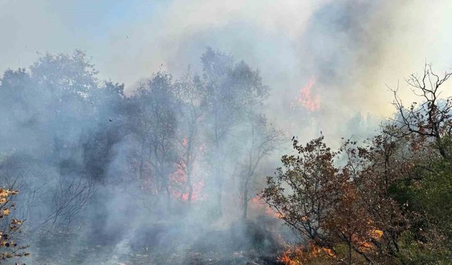 Bursa’da korkutan orman yangını