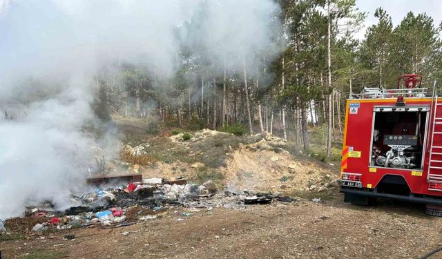 Çöp yangını ormana sıçramadan söndürüldü