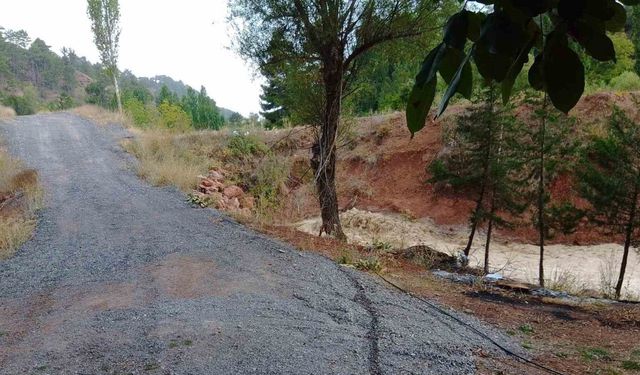 Denizli’de şiddetli yağış dereleri taşırdı