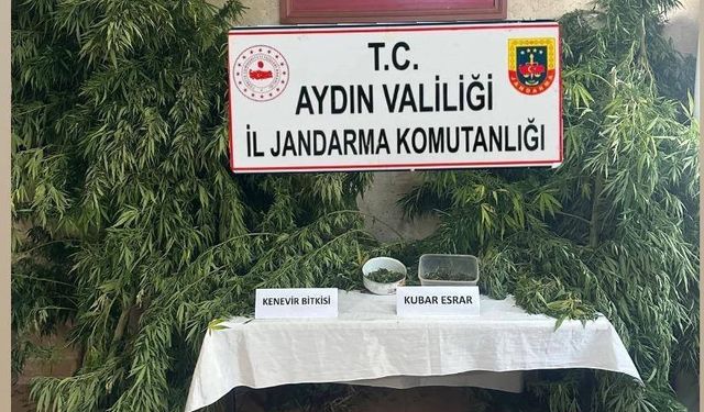 Germencik’te uyuşturucu operasyonu: 1 gözaltı