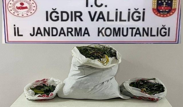 Iğdır’da farklı adreslere uyuşturucu operasyonu