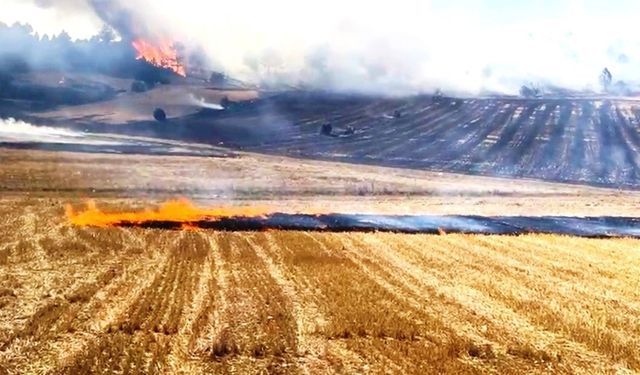 Kütahya’da ormana sıçrayan anız yangını büyümeden söndürüldü