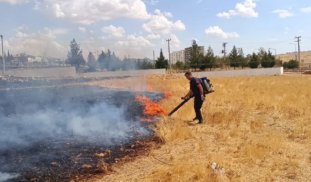 Mardin’de çıkan ot yangını söndürüldü