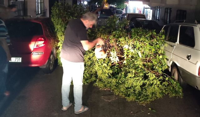 Şehzadeler Belediyesi ekipleri devrilen ağaçları kaldırdı