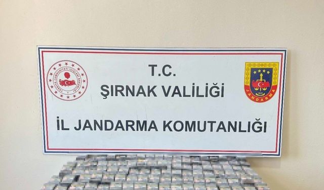 Şırnak’ta Jandarma’dan kaçakçılık operasyonu: 26 gözaltı