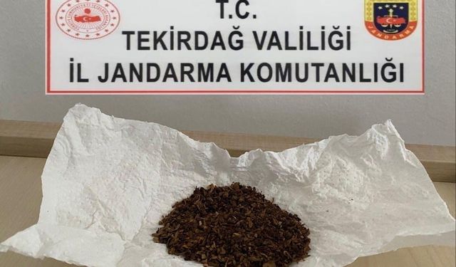 Tekirdağ’da Jandarma operasyonları: Uyuşturucu ve silah ele geçirildi