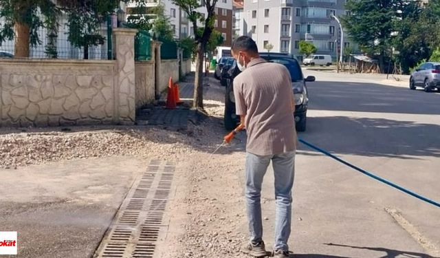 Daha Temiz Bir Turhal İçin Haşere Mücadelesi