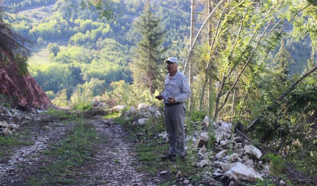 Artvin'de Kutlu köyü bağlığı ve civarındaki kazılar devam ediyor