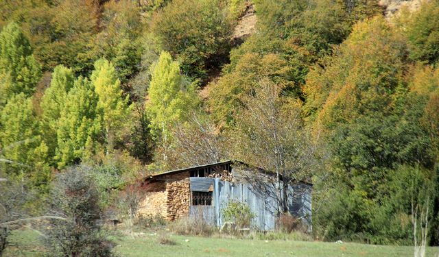 Sivas'ta sonbahar manzaraları