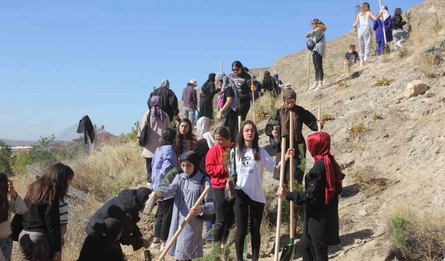 6 ülkeden 10 gönüllü Sivas’ı yeşertmek için kolları sıvadı