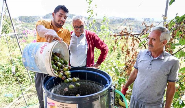 Belediyeden üreticilere ’ceviz soyma makinesi’ desteği