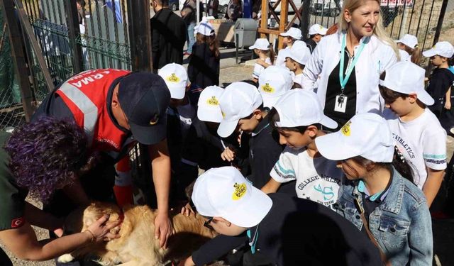 Hayvanları Koruma Günü’nde anlamlı etkinlik