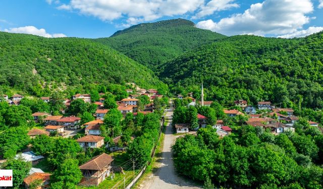 Yeşilırmak'ın yanına uzanan doğa harikası köy büyülüyor