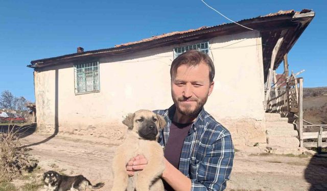 Tokat'ta gazetecid yavru köpeğe heimlich manevrası