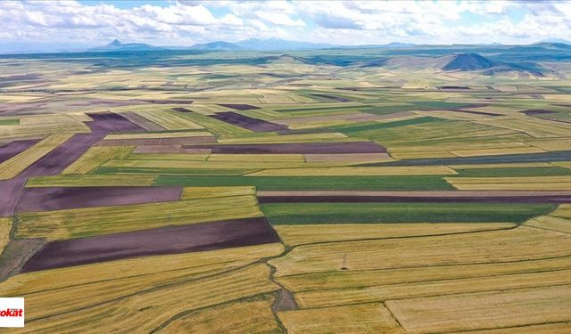 Tokat Merkez Günevi Köyü'ndeki 14 Adet Arsa Satılacak