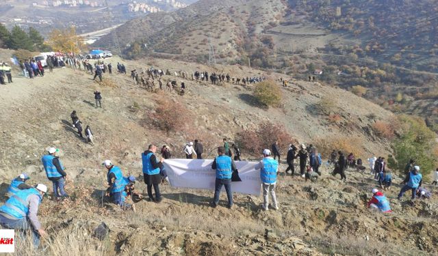 Tokat'ta Denetimli Serbestlik'ten geleceğe fidanla nefes