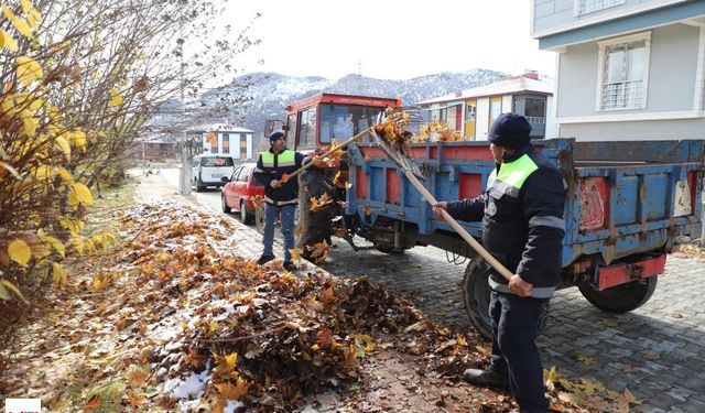 Tokat’ta gazeller ekonomiye dönüşecek